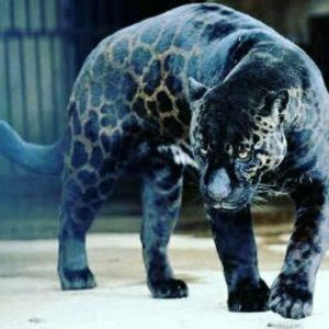 Meet your Posher, Dharti